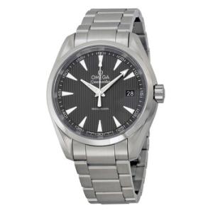 Seamaster Aqua Terra Grey Dial Watch 231.10.39.60.06.001