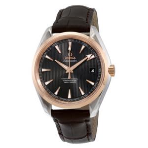 Seamaster Aqua Terra Teak Grey Dial Automatic Watch 231.23.42.21.06.003