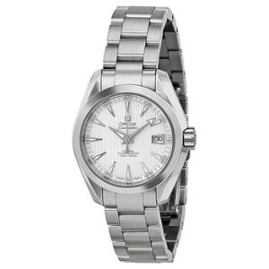 Seamaster Aqua Terra Teakopaline Silver Dial Watch 231.10.30.20.02.001