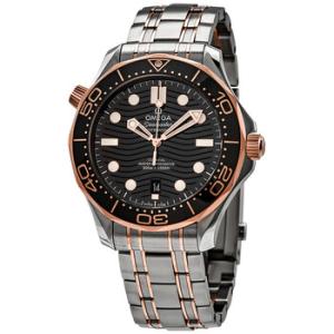 Seamaster Automatic Black Dial Watch 210.20.42.20.01.001