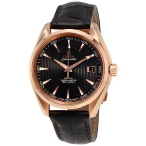 Seamaster Automatic Watch 231.53.42.21.06.001