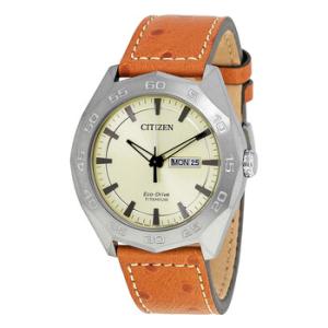 Super Titanium Watch AW006011P