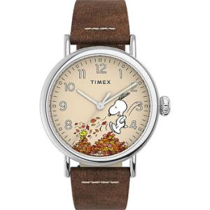x Peanuts Featuring Snoopy Autumn Quartz Watch TW2U86200VQ
