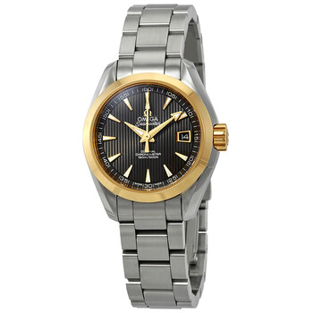 Seamaster Aqua Terra Automatic Chronometer Grey Dial Watch 231.20.30.20.06.004