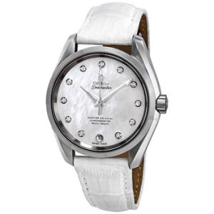 Seamaster Aqua Terra Automatic Diamond Watch 231.13.39.21.55.002