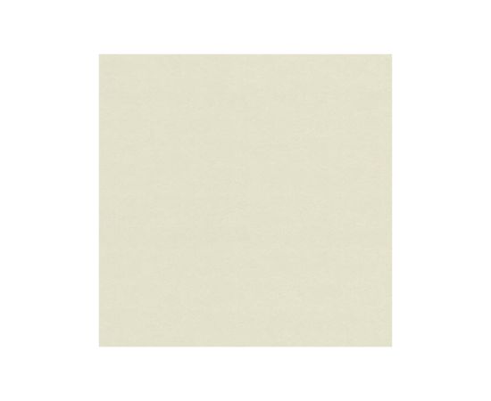 შპალერი ქაღალდის 0.53*10მ 11019417 Lutece