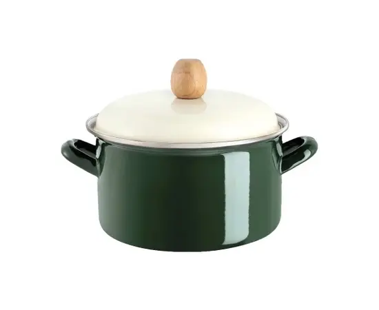 ემალის ქვაბი თავსახურით მწვანე ARSHIA/26570 4,5ლ 24სმ