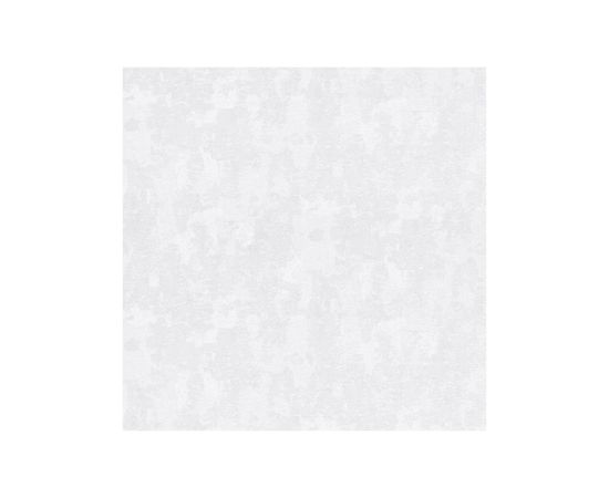 შპალერი ბელორუსიული 1769-11 1.06X10 მეტ