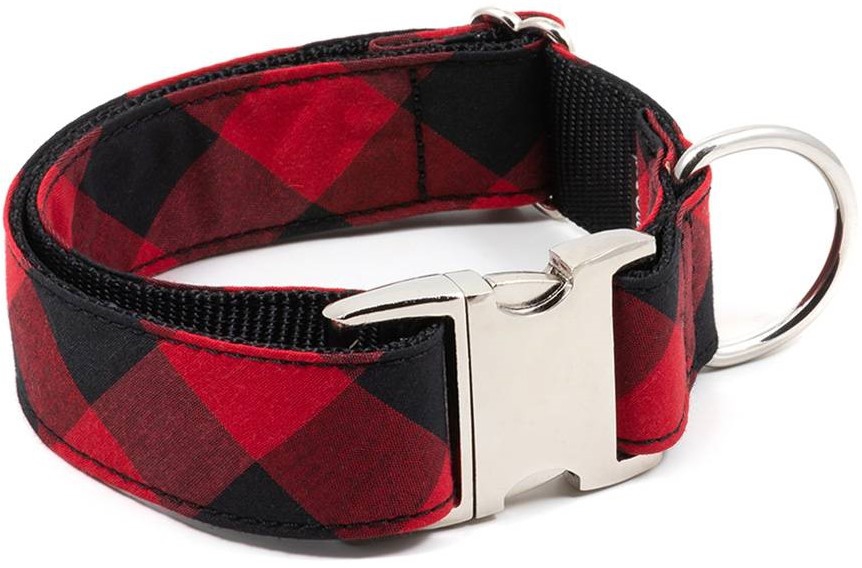 BrottDog, Bruc, ძაღლის საყელო, S