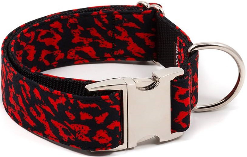 BrottDog, Conesa, ძაღლის საყელო, M