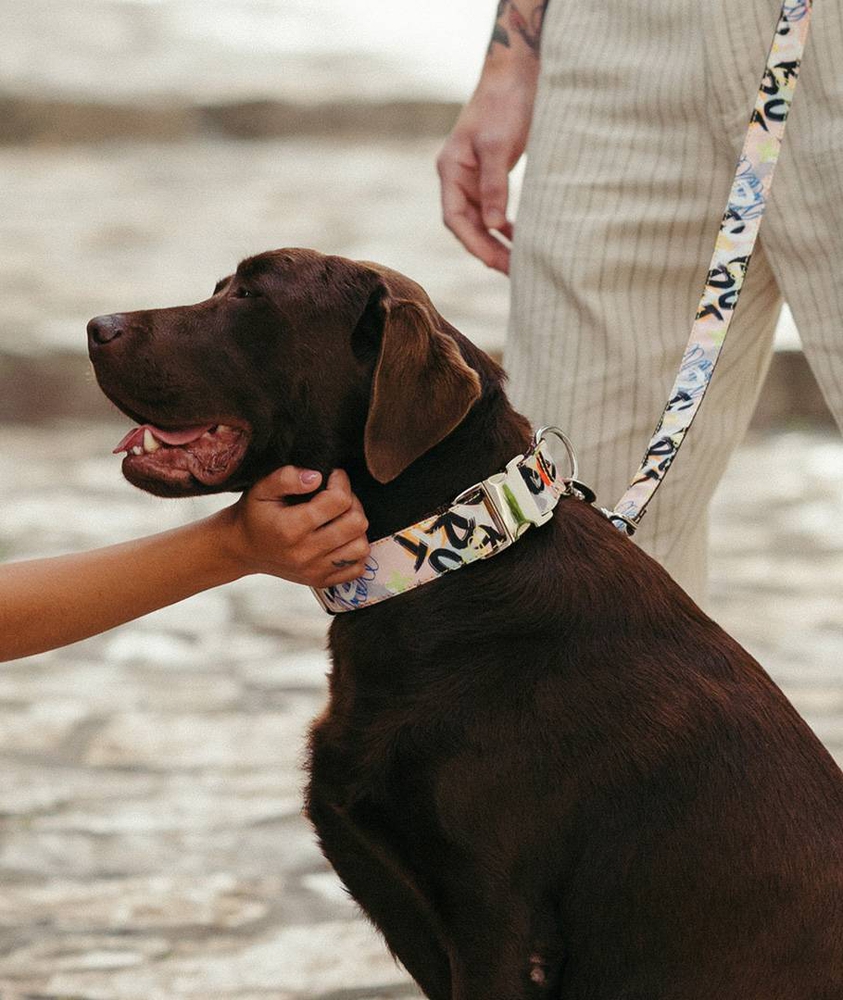 BrottDog, Penelles, ძაღლის საბელი, M