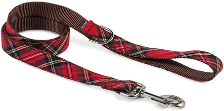 BrottDog, Tremp, ძაღლის საბელი, M