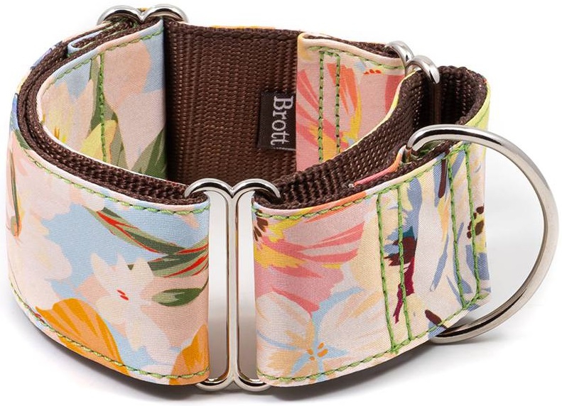 BrottDog, Vilanova, ძაღლის საყელო, S