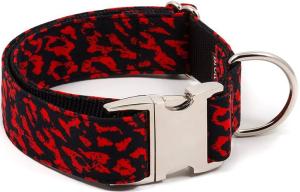 BrottDog, Conesa, ძაღლის საყელო, M