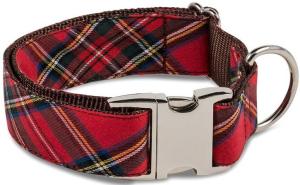 BrottDog, Tremp, ძაღლის საყელო, M