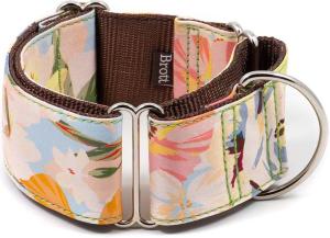 BrottDog, Vilanova, ძაღლის საყელო, L