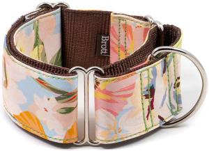 BrottDog, Vilanova, ძაღლის საყელო, S