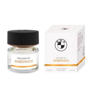 Amberness EDP Spray 3.4 oz