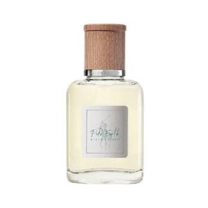 Polo Earth EDT Spray 3.4 oz